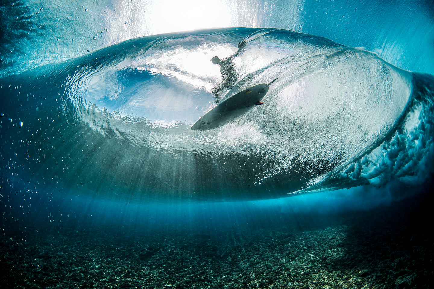 Picture of a surfer standing on a surfboard, taken from below.  Main photo on how page of Crepic website at livecrepic.com.  Taken by Ben Thouard